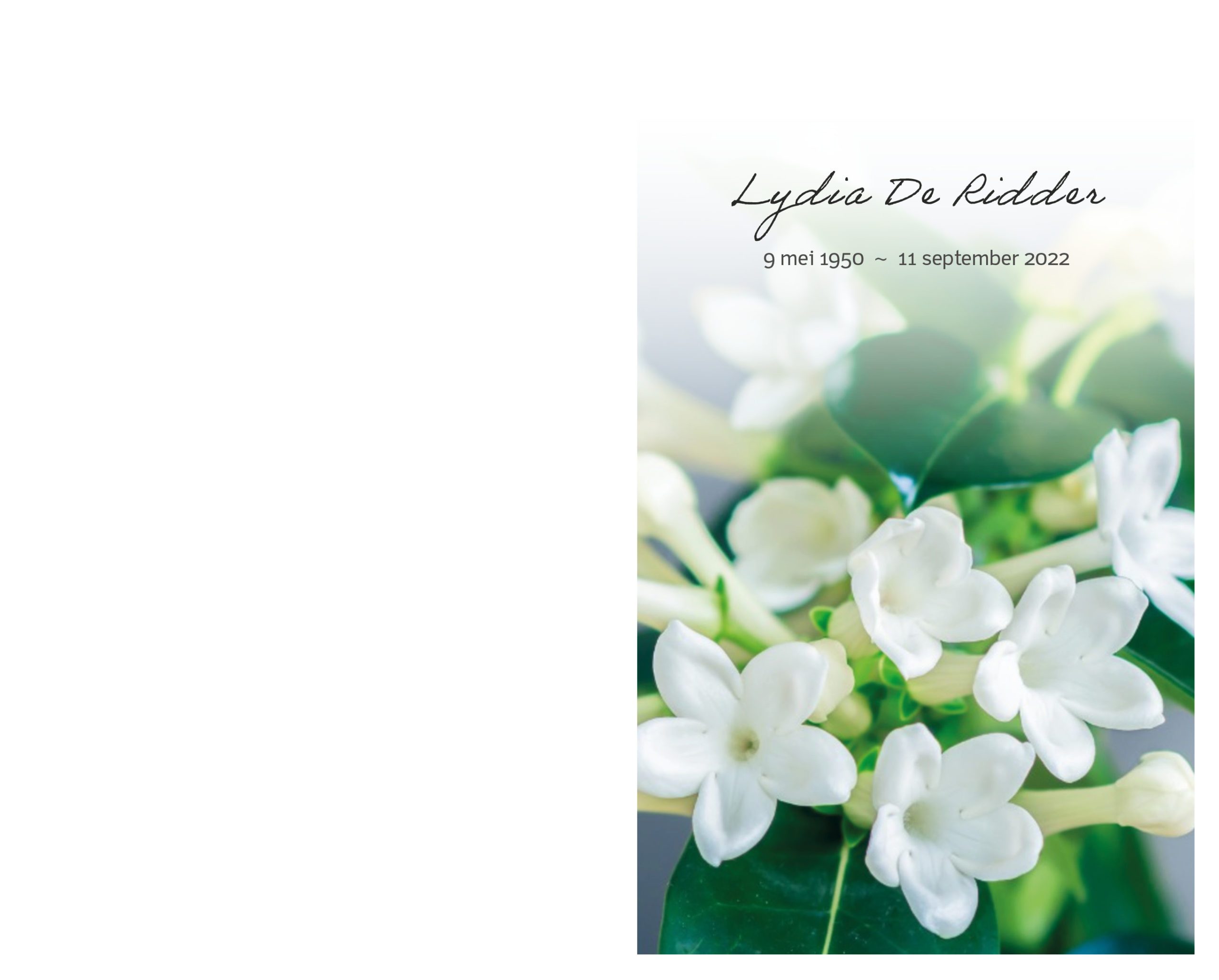 rouwbrief De Ridder Lydia